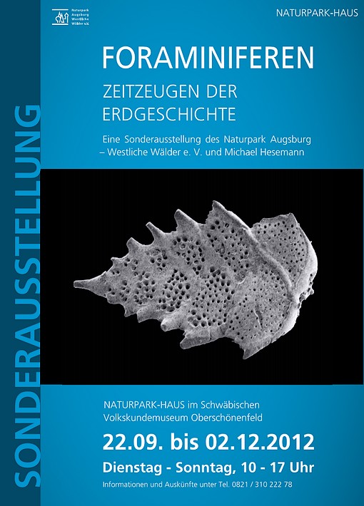 Foraminiferen Ausstellung Augsburg
